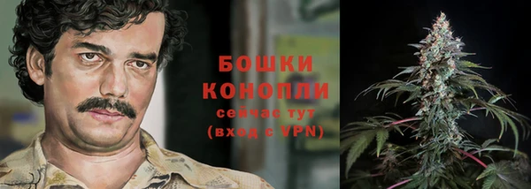 PSILOCYBIN Бородино