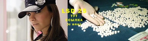 PSILOCYBIN Бородино
