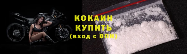 PSILOCYBIN Бородино