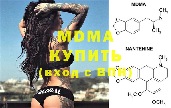 PSILOCYBIN Бородино